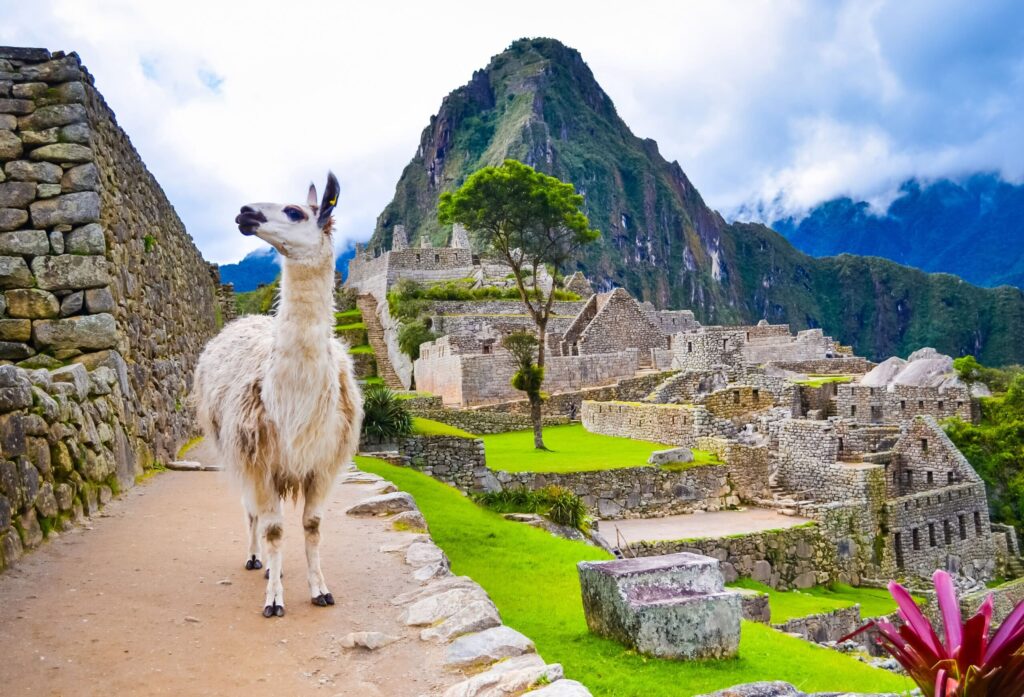 Tours a Machupicchu